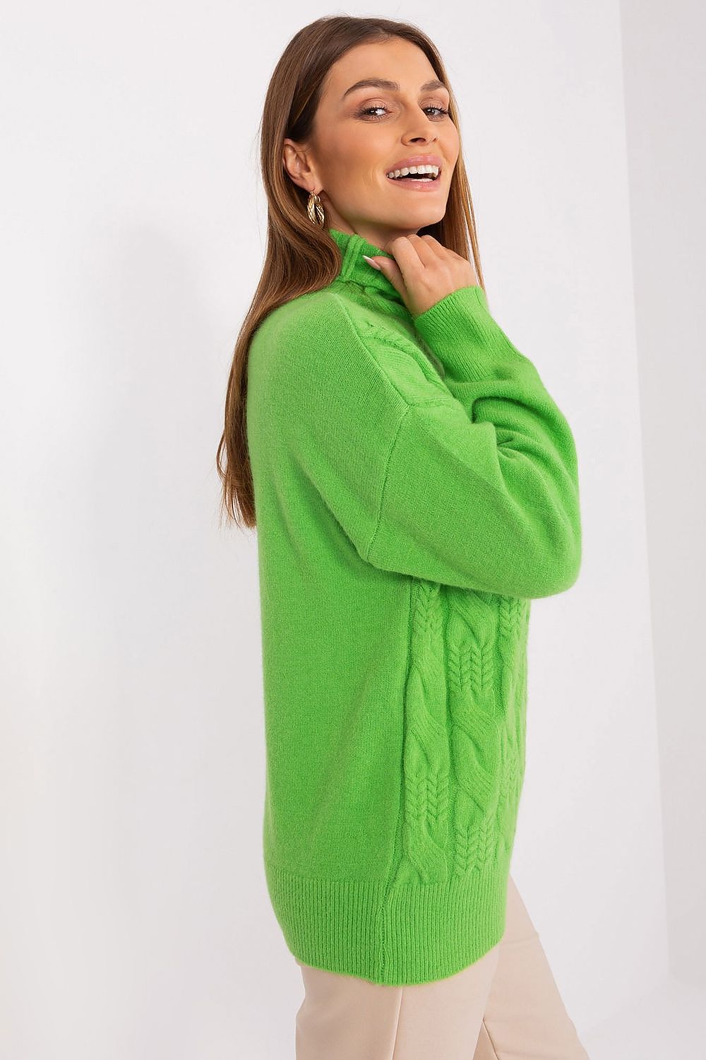  Turtleneck model 189893 AT 